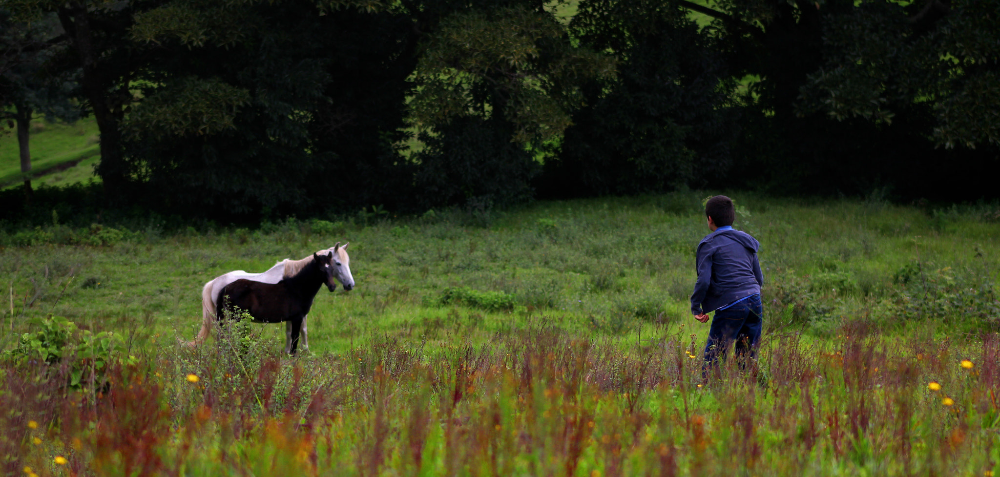 Canon EOS 550D (EOS Rebel T2i / EOS Kiss X4) + EF75-300mm f/4-5.6 sample photo. Farm life photography