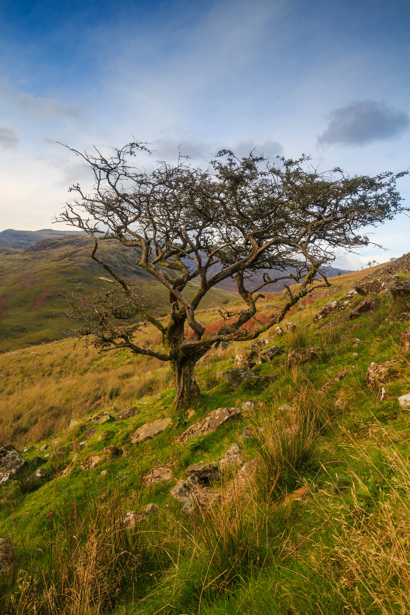 Canon EOS 650D (EOS Rebel T4i / EOS Kiss X6i) + Canon EF-S 10-22mm F3.5-4.5 USM sample photo. Snowdonia gywant baum photography