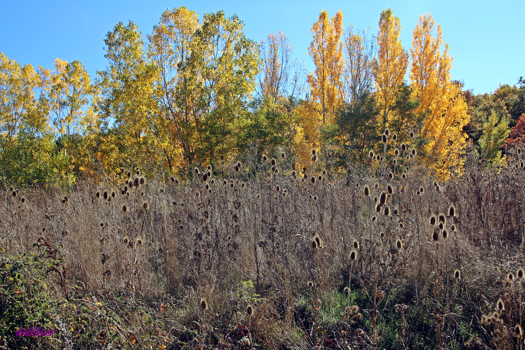 Sigma 24-105mm f/4 DG OS HSM | A sample photo. Img photography