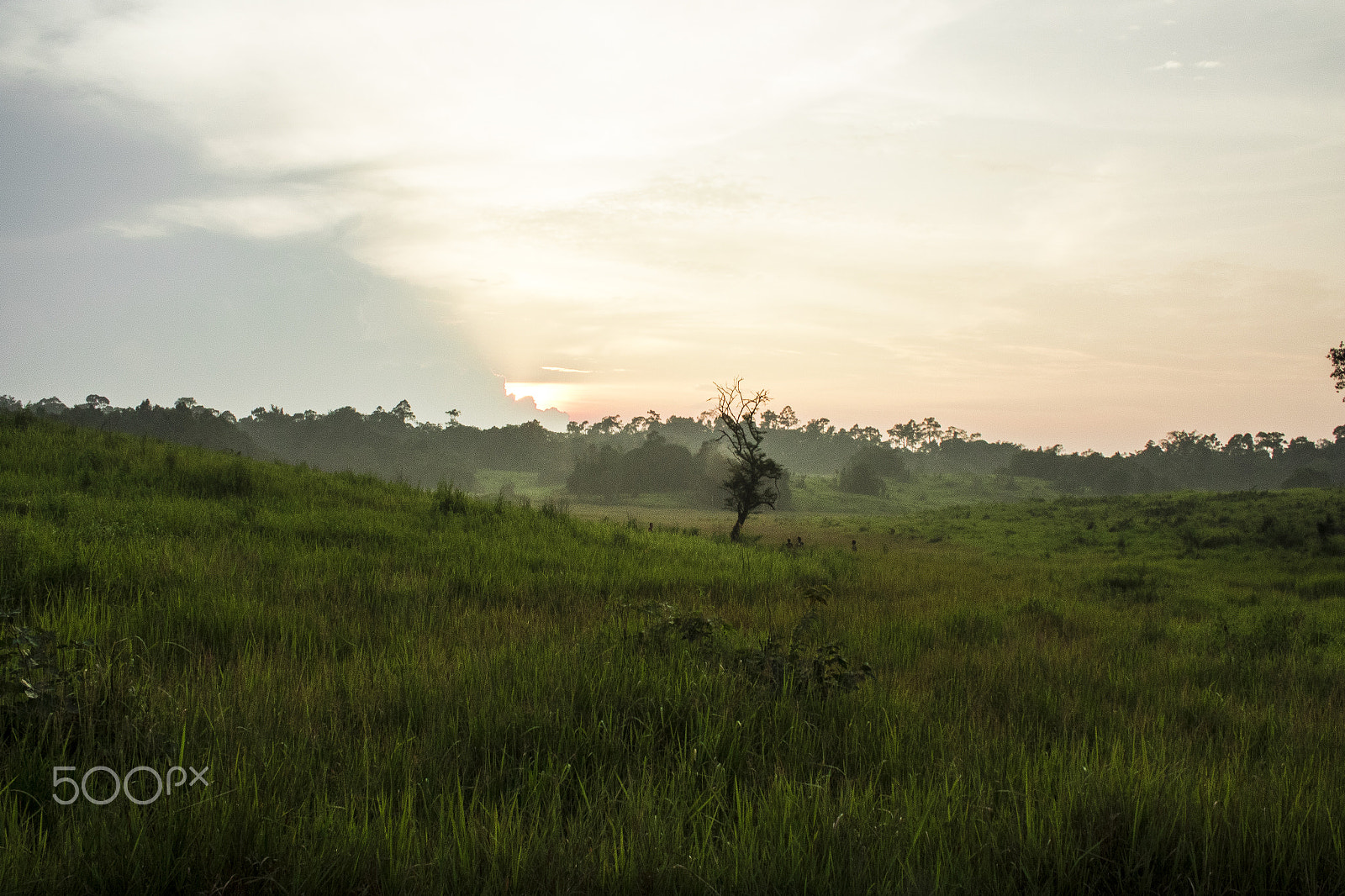 Canon EF-S 18-55mm F3.5-5.6 IS sample photo. Landscape at khao yai national park photography