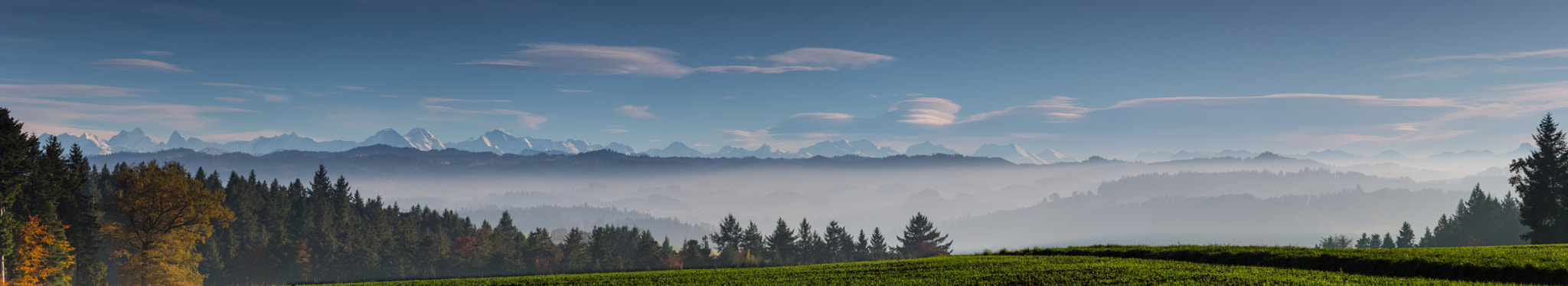 Canon EF 28-135mm F3.5-5.6 IS USM sample photo. Reisiswil photography