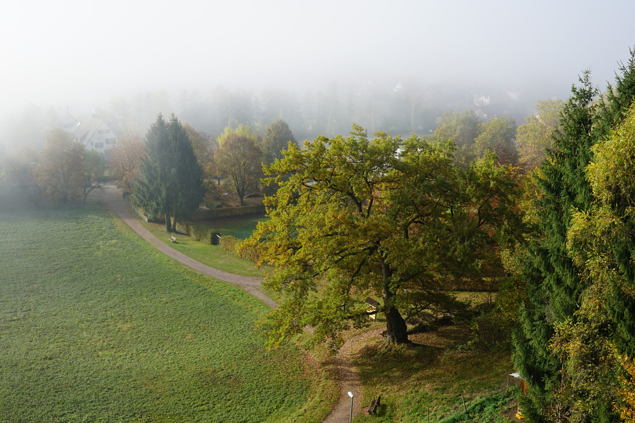 Sony FE 28mm F2 sample photo. Late autumn photography