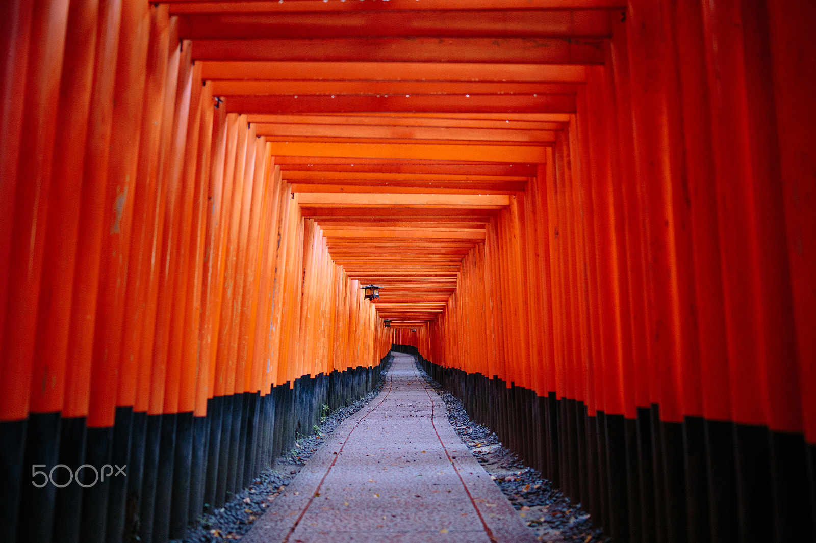Tamron SP 35mm F1.8 Di VC USD sample photo. Fushimi path of fox god photography