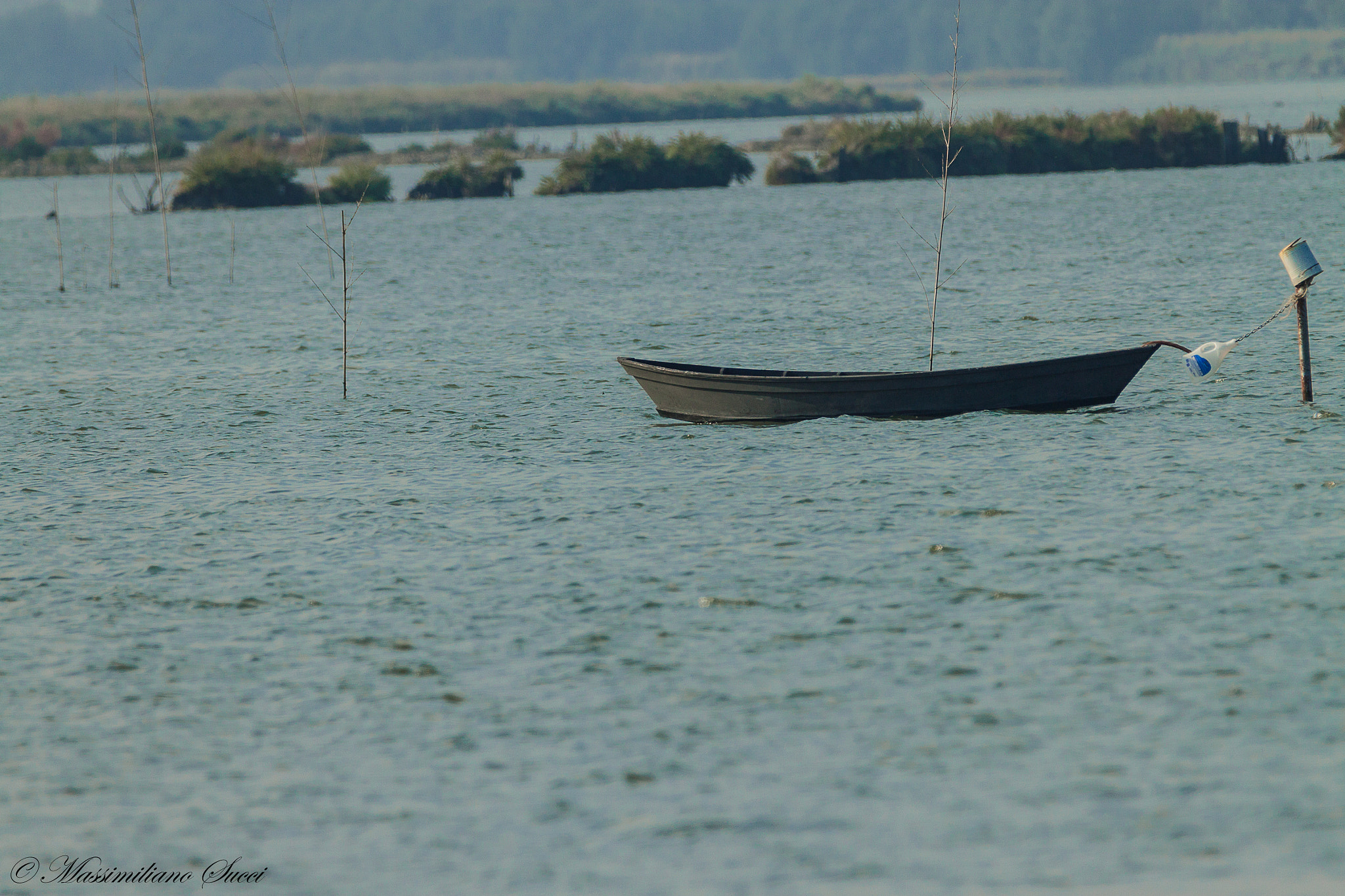 150-600mm F5-6.3 DG OS HSM | Contemporary 015 sample photo. Today the hunter remained at home photography