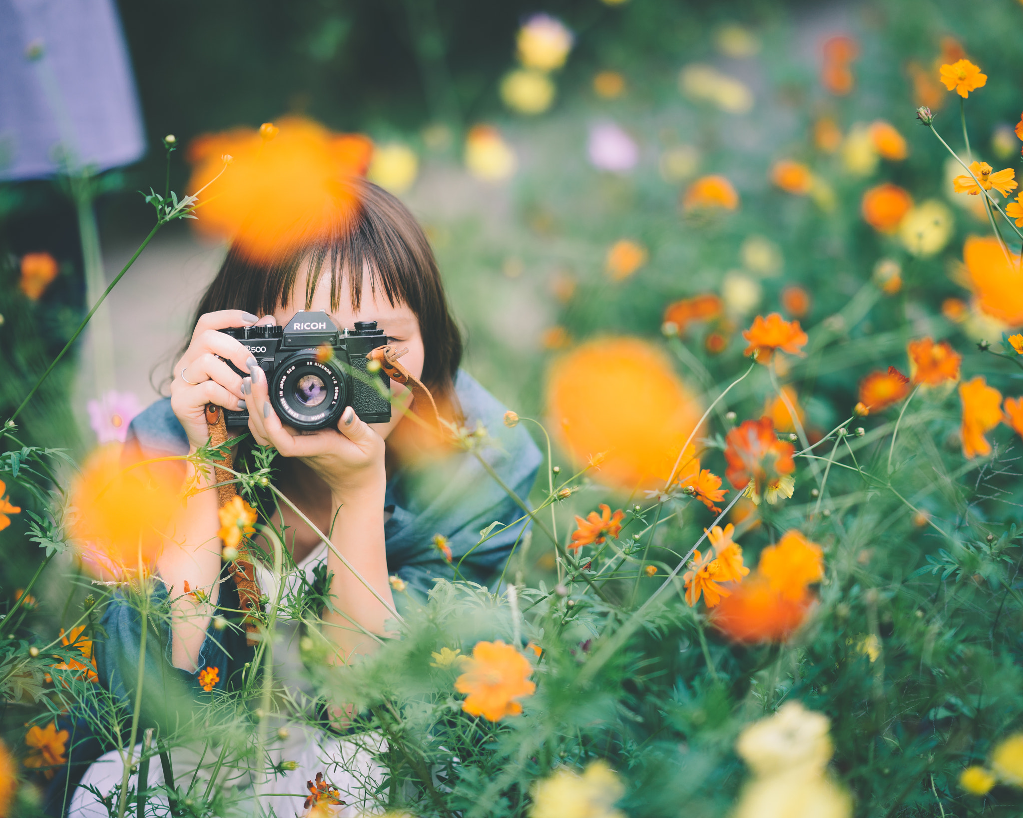 FE 85mm F0 sample photo. Untitled photography
