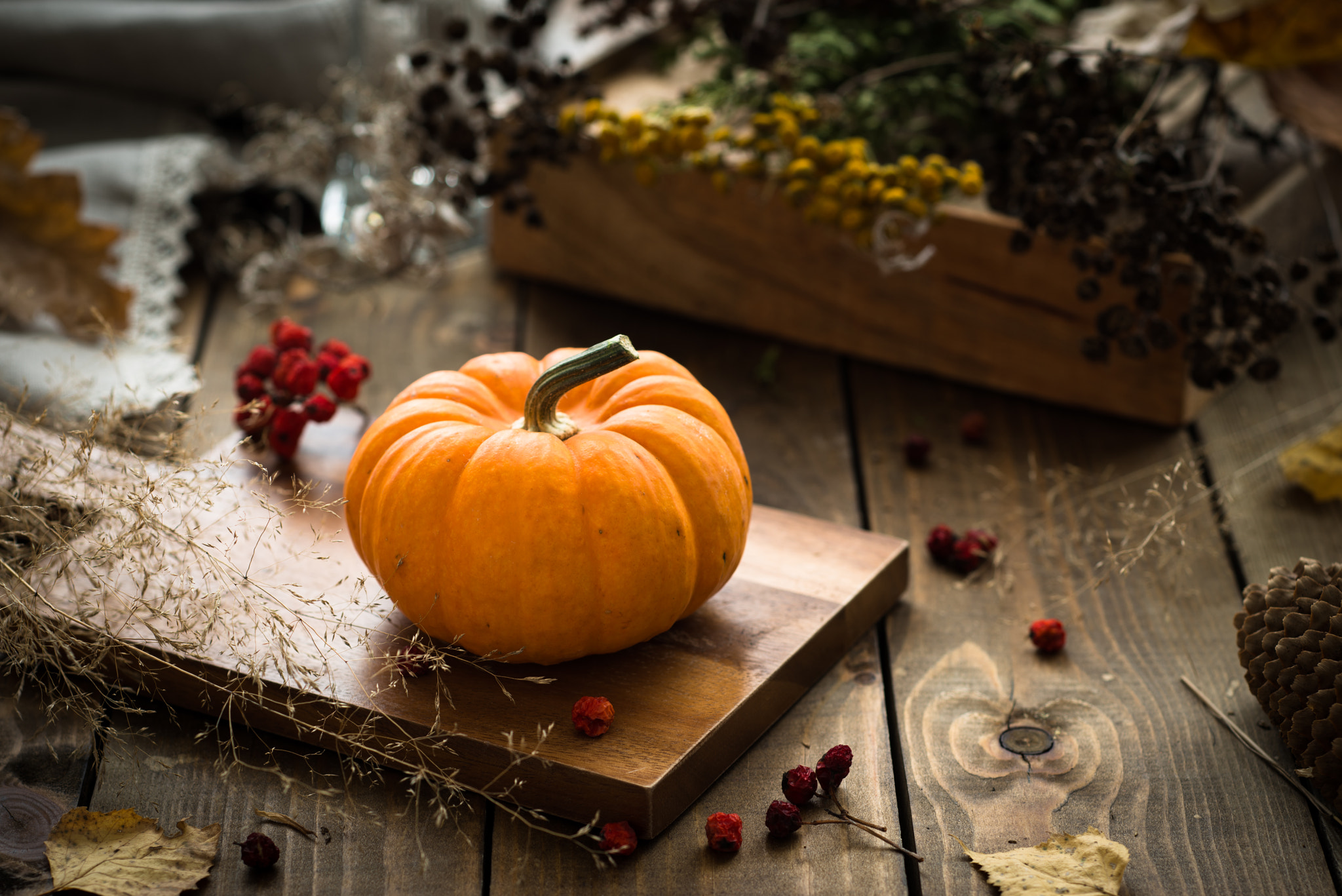 Nikon D800 + Nikon PC-E Micro-Nikkor 85mm F2.8D Tilt-Shift sample photo. Autumn and pumpkin - confession of love... photography