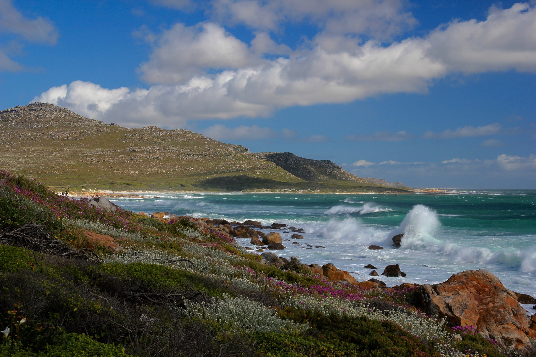 Sigma 18-125mm F3.8-5.6 DC OS HSM sample photo. Western cape, south africa photography