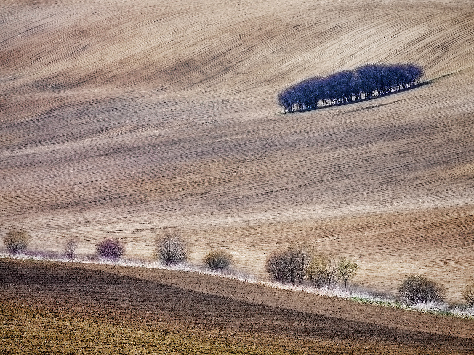 Sony Alpha NEX-7 + Canon EF 70-200mm F4L IS USM sample photo. Landscape in brown photography