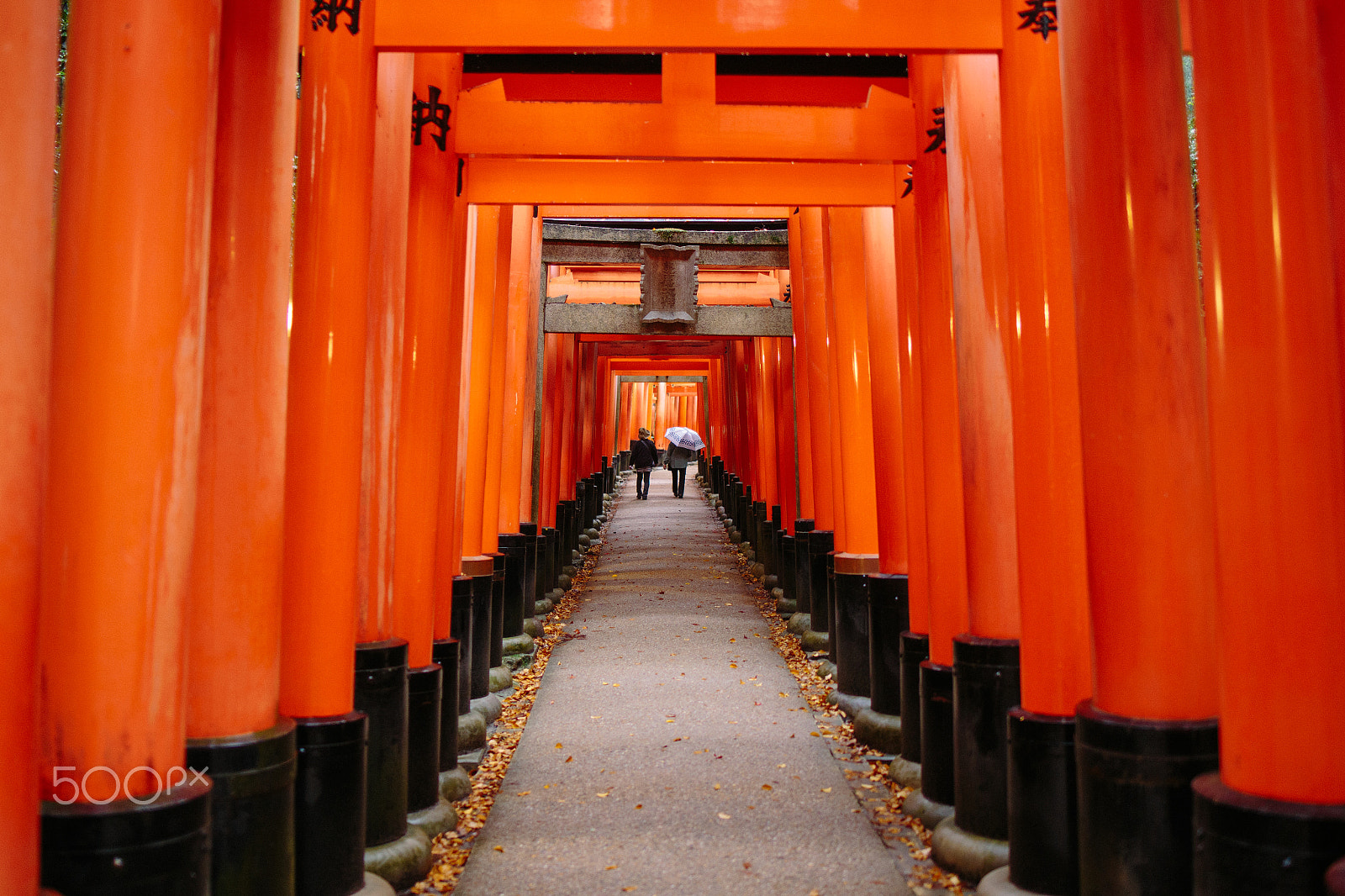 Tamron SP 35mm F1.8 Di VC USD sample photo. Fushimi path of fox god photography