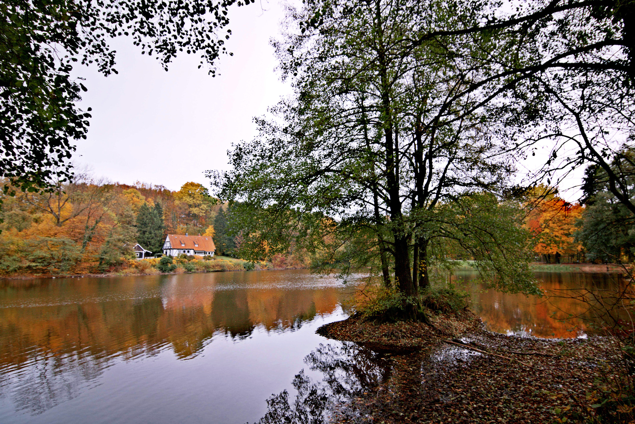 Tokina AT-X Pro 12-24mm F4 (IF) DX sample photo. Herbst im lipperland photography