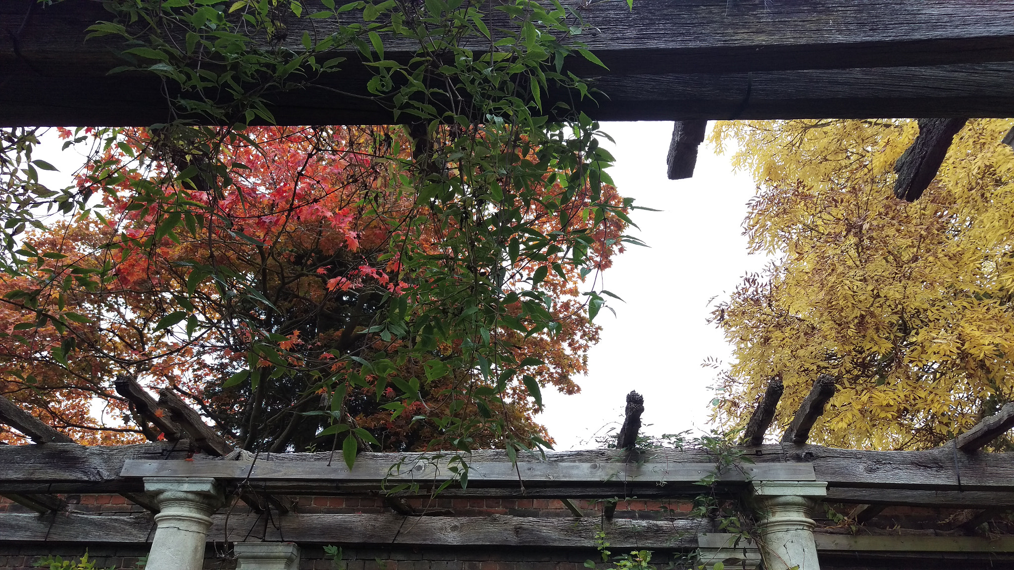 HTC M9 sample photo