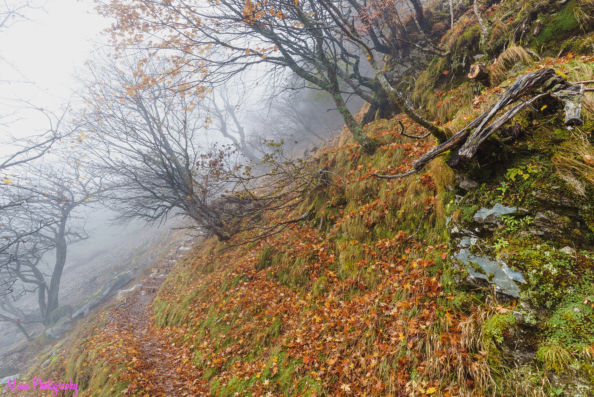 E 18mm F2.8 sample photo. Seeking a superb view in the fog photography