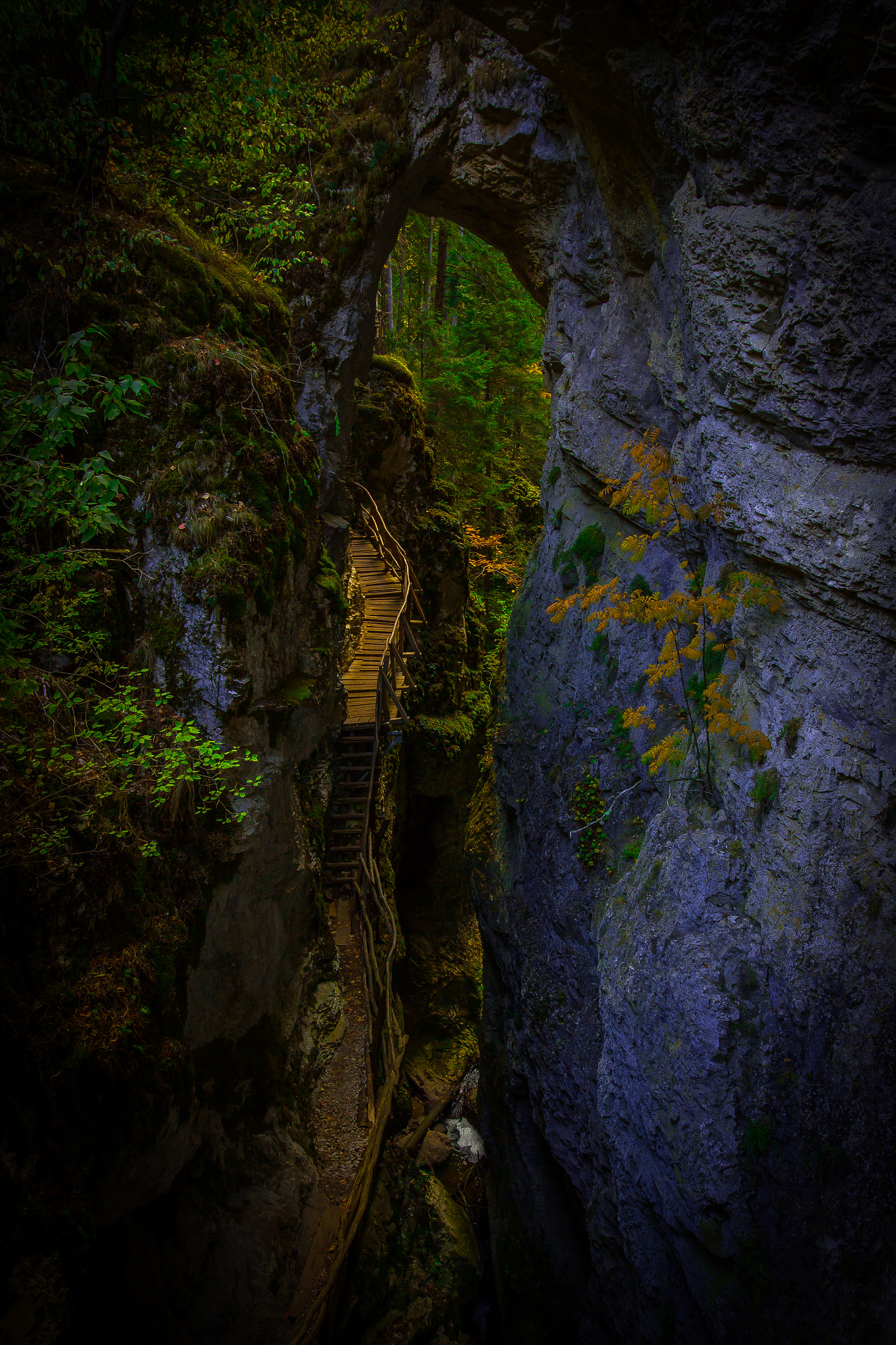 Canon EF 16-35mm F4L IS USM sample photo. Devil's bridge photography