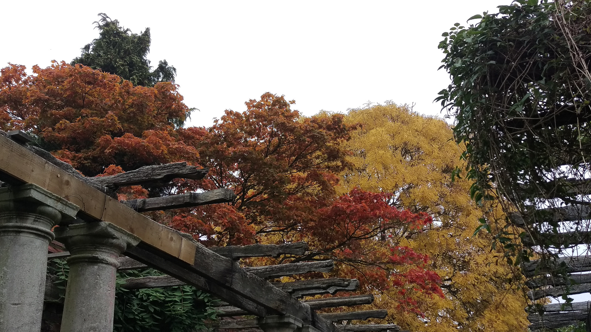 HTC M9 sample photo