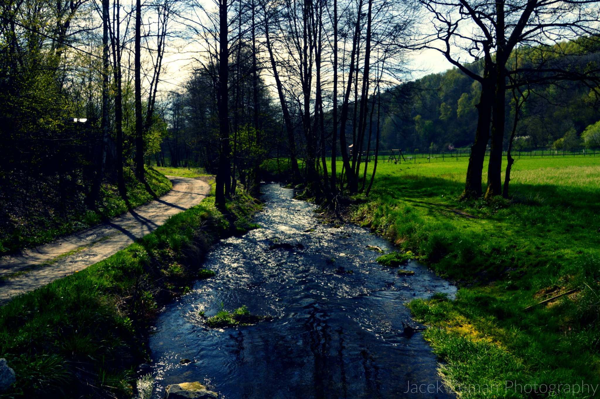 Nikon D3200 sample photo. Forgotten river photography