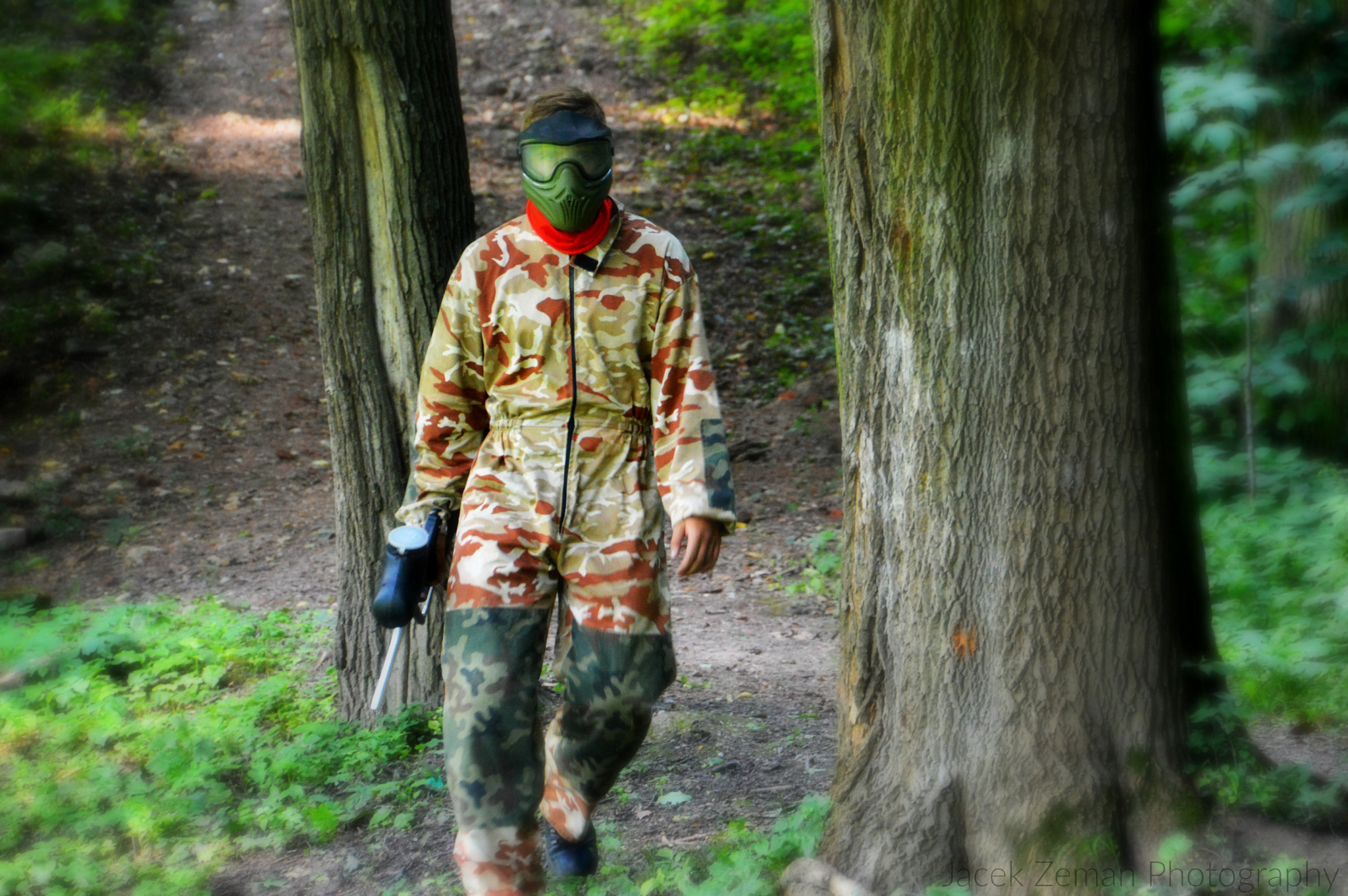 Nikon D3200 sample photo. A little game in forrest.... photography