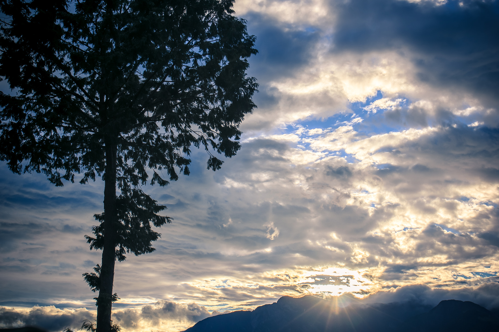 Canon EOS 60D sample photo. The sunrise at mt. alishan in taiwan photography