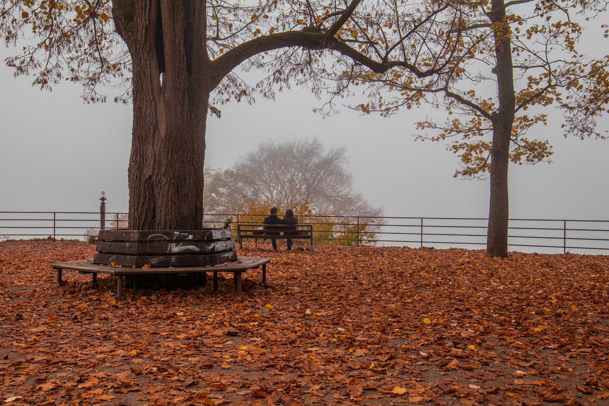 Canon EF 16-35mm F4L IS USM sample photo. Paar photography
