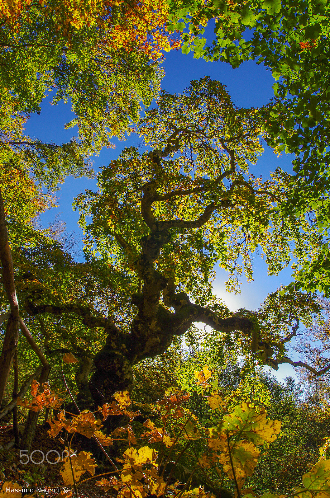 Pentax K-5 IIs sample photo. Colors photography