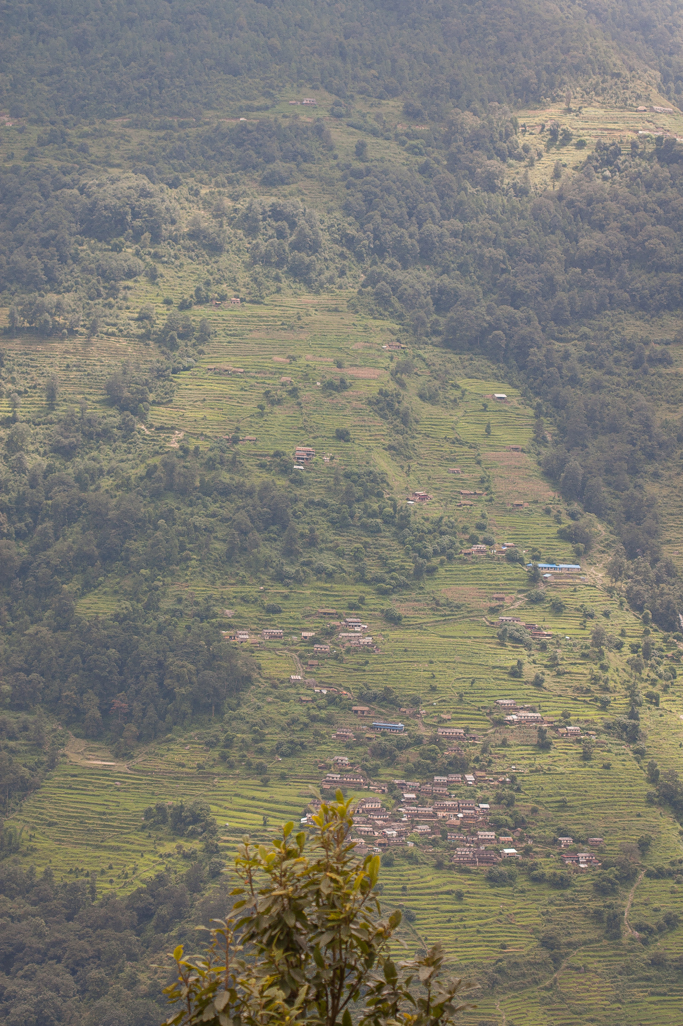 Canon EF 100mm F2.8 Macro USM sample photo. Trekking in nepal photography