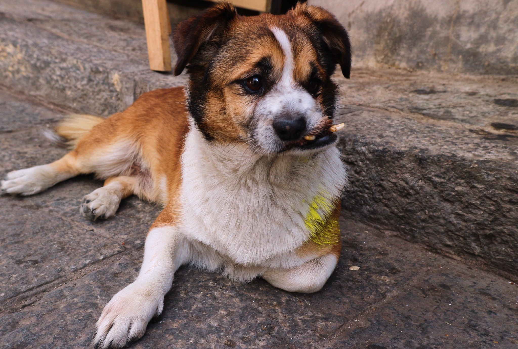 Canon EOS M10 + Canon EF-M 22mm F2 STM sample photo. Everything could be old… photography