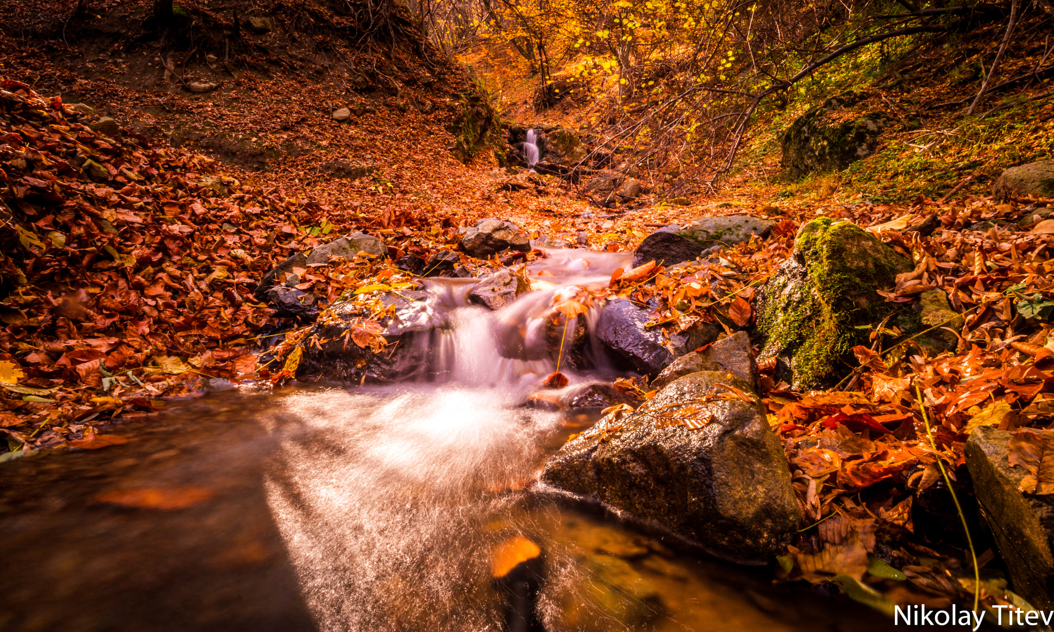 ZEISS Touit 12mm F2.8 sample photo. Fall photography