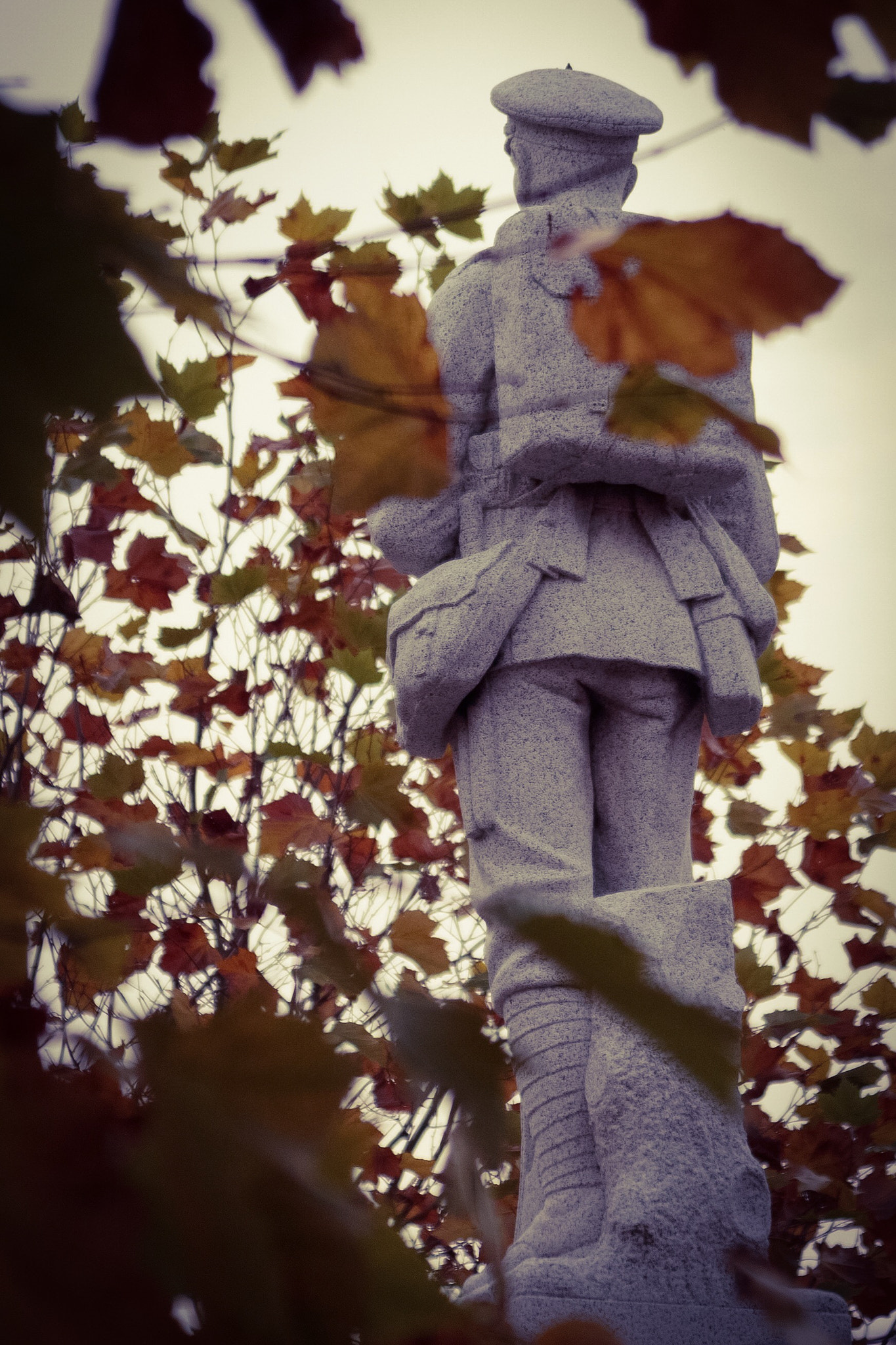 Canon TS-E 90mm F2.8 Tilt-Shift sample photo. Brynmawr war memorial photography