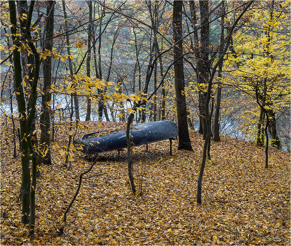 Olympus OM-D E-M10 II sample photo. A boat left alone in the middle of the forrest photography