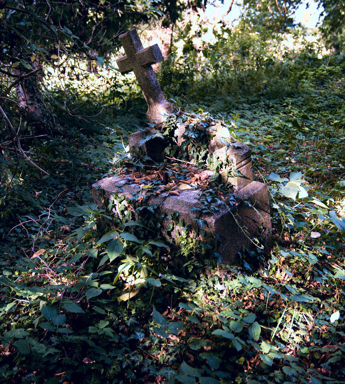 Nikon D300S sample photo. Cemetery photography