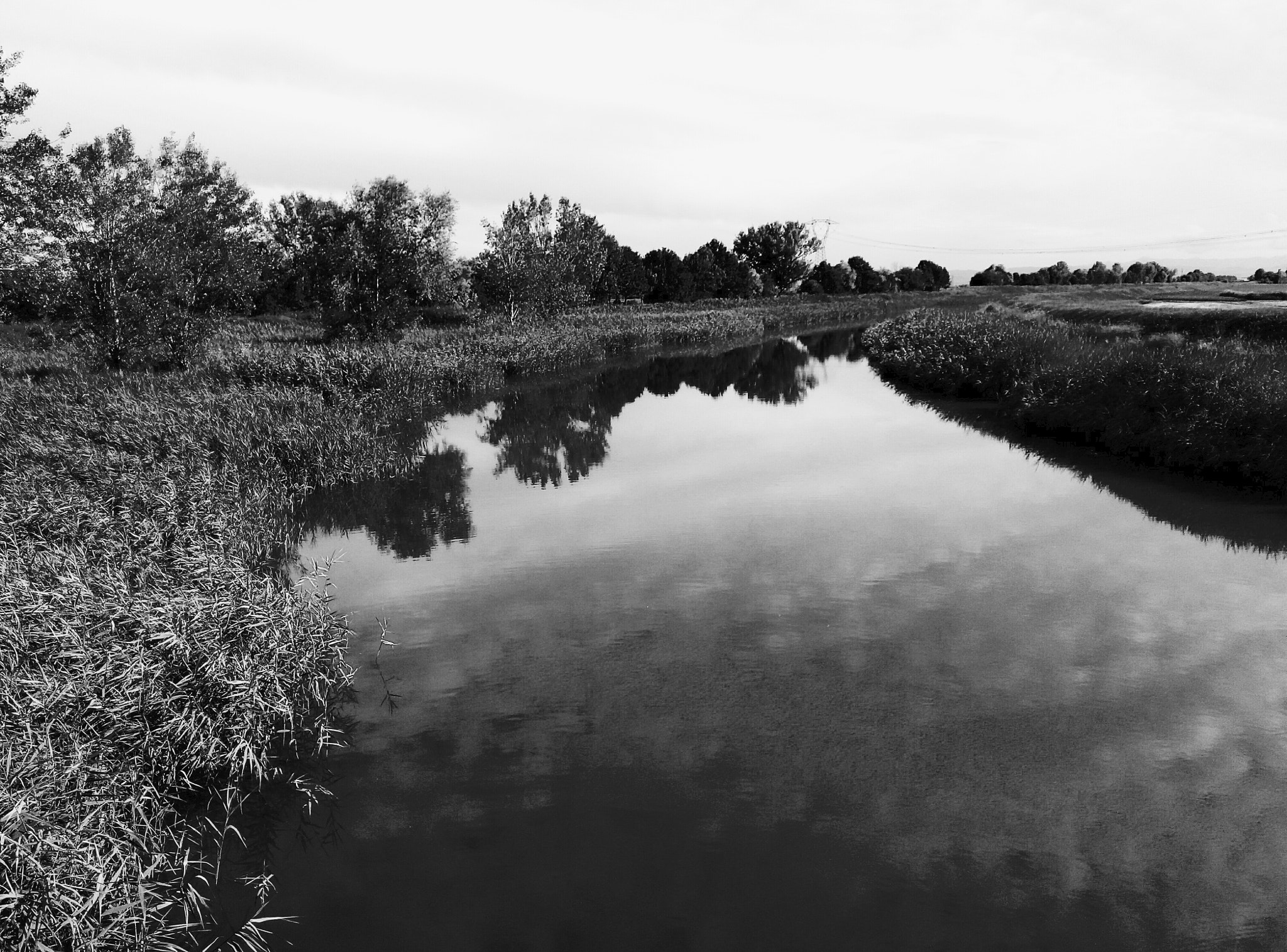 Meizu m1 note sample photo