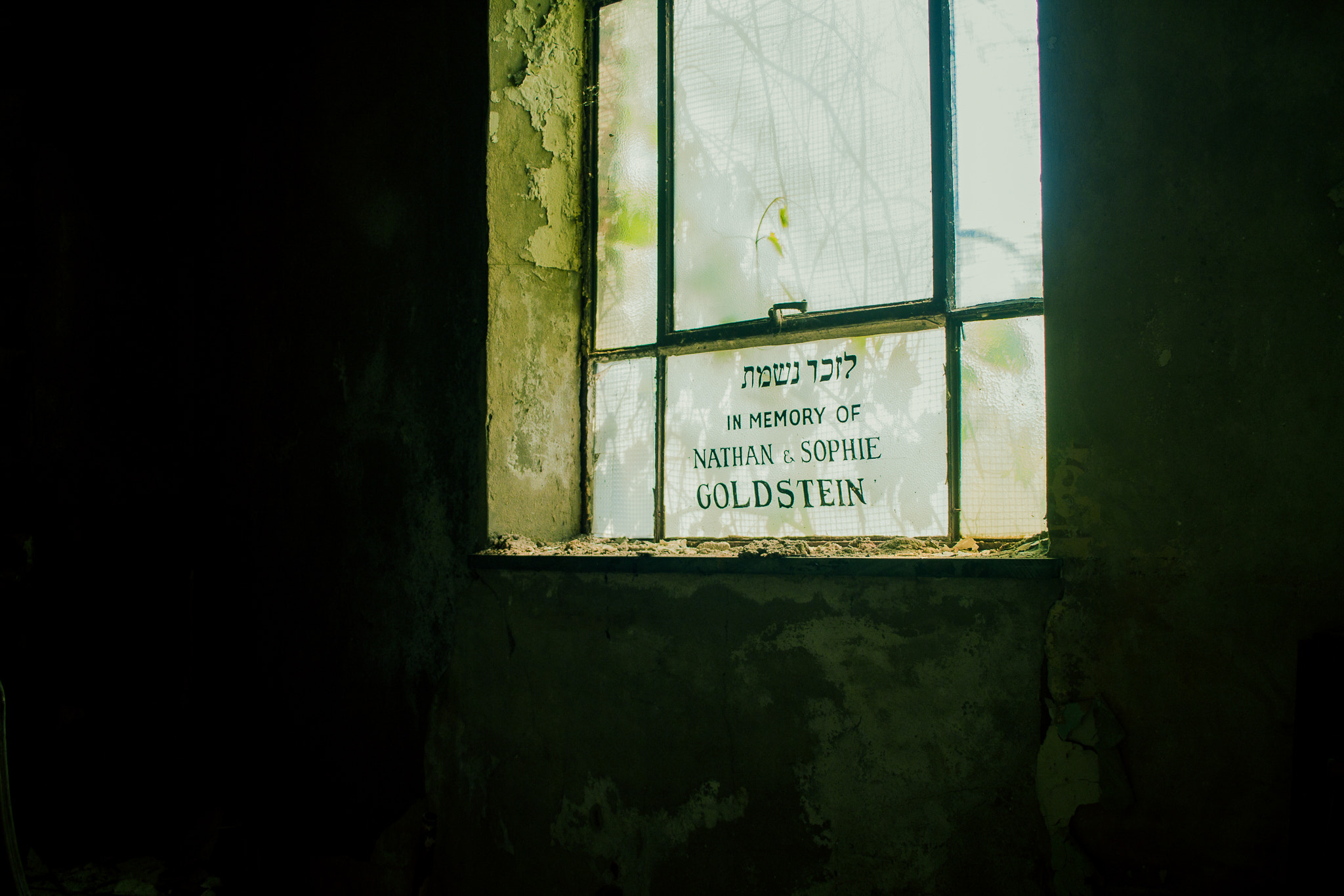 Canon EF-S 24mm F2.8 STM sample photo. Img photography