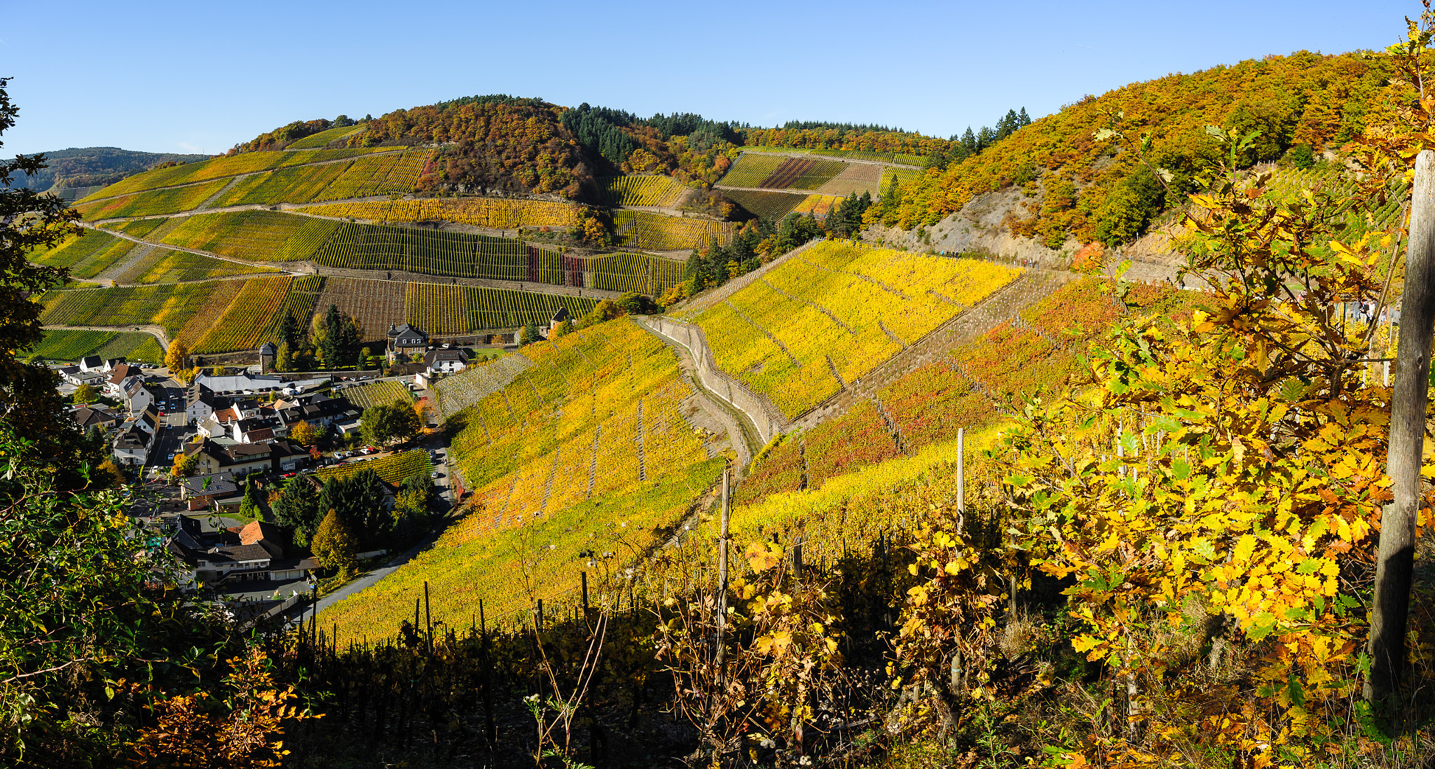 Nikon 1 Nikkor 11-27.5mm F3.5-5.6 sample photo. Winearea ahr photography