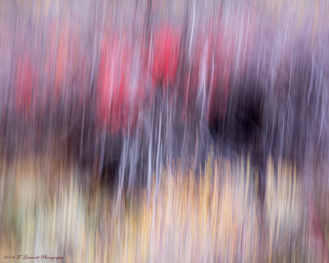 Canon EOS 60D + Tamron AF 28-75mm F2.8 XR Di LD Aspherical (IF) sample photo. Desert autumn abstract photography