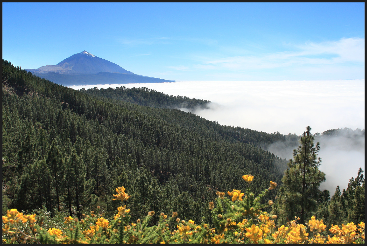 Sigma 18-125mm f/3.5-5.6 DC IF ASP sample photo. Canary islands/pico del teide photography