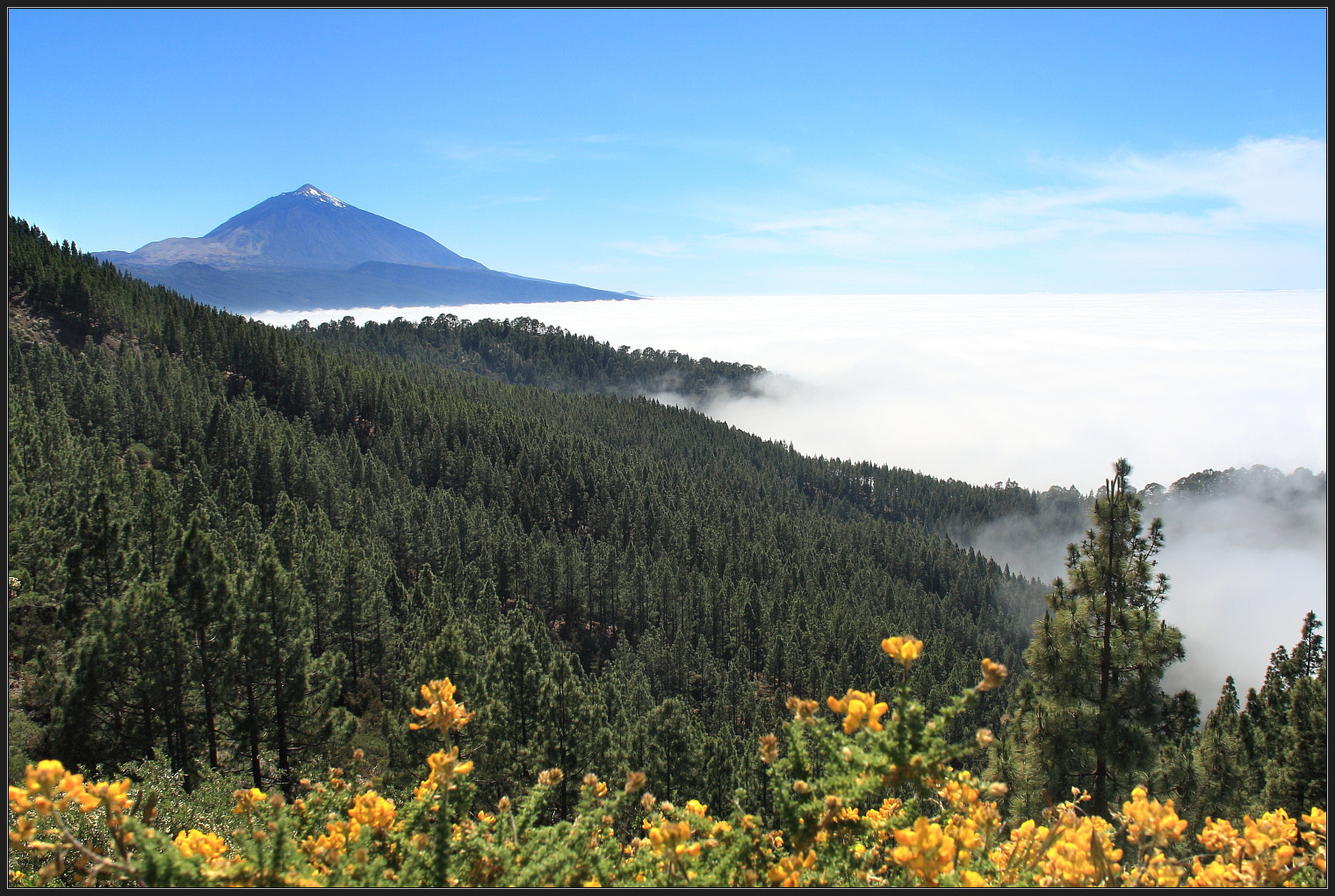 Canon EOS 450D (EOS Rebel XSi / EOS Kiss X2) + Sigma 18-125mm f/3.5-5.6 DC IF ASP sample photo. Canary islands/pico del teide photography