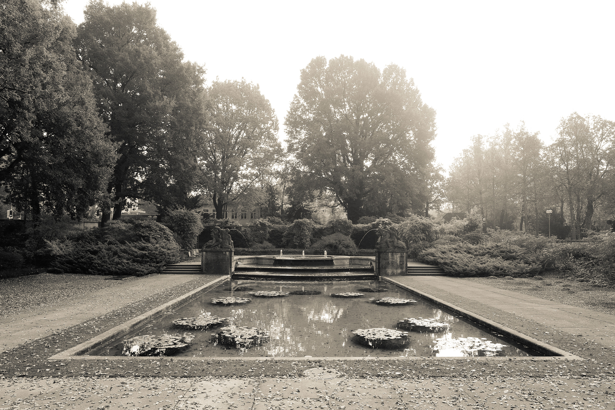 Fujifilm X-T10 + Fujifilm XF 16mm F1.4 R WR sample photo. Rosengarten bern photography
