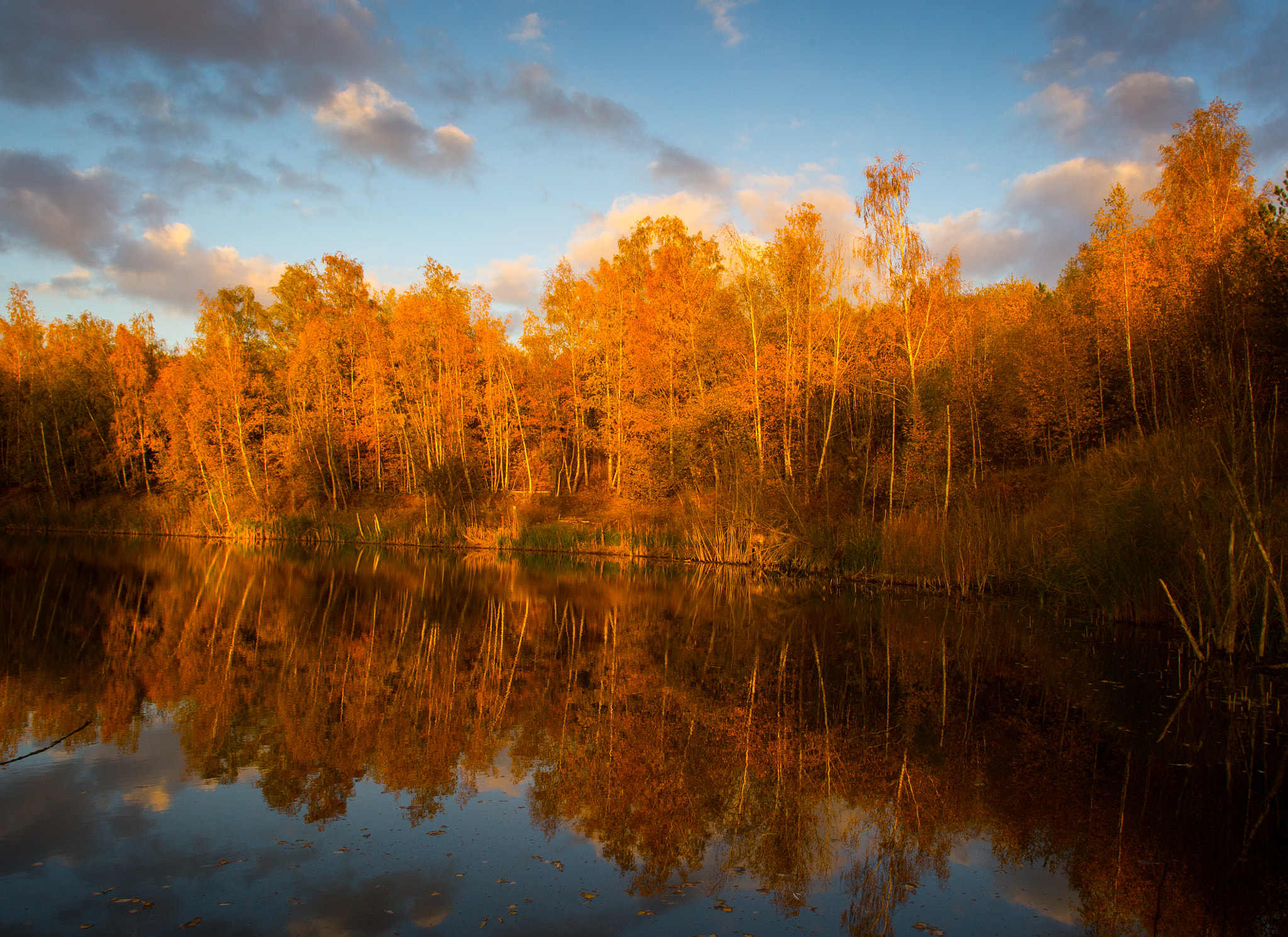 Canon EOS 6D + Canon EF 20mm F2.8 USM sample photo. Autumn photography