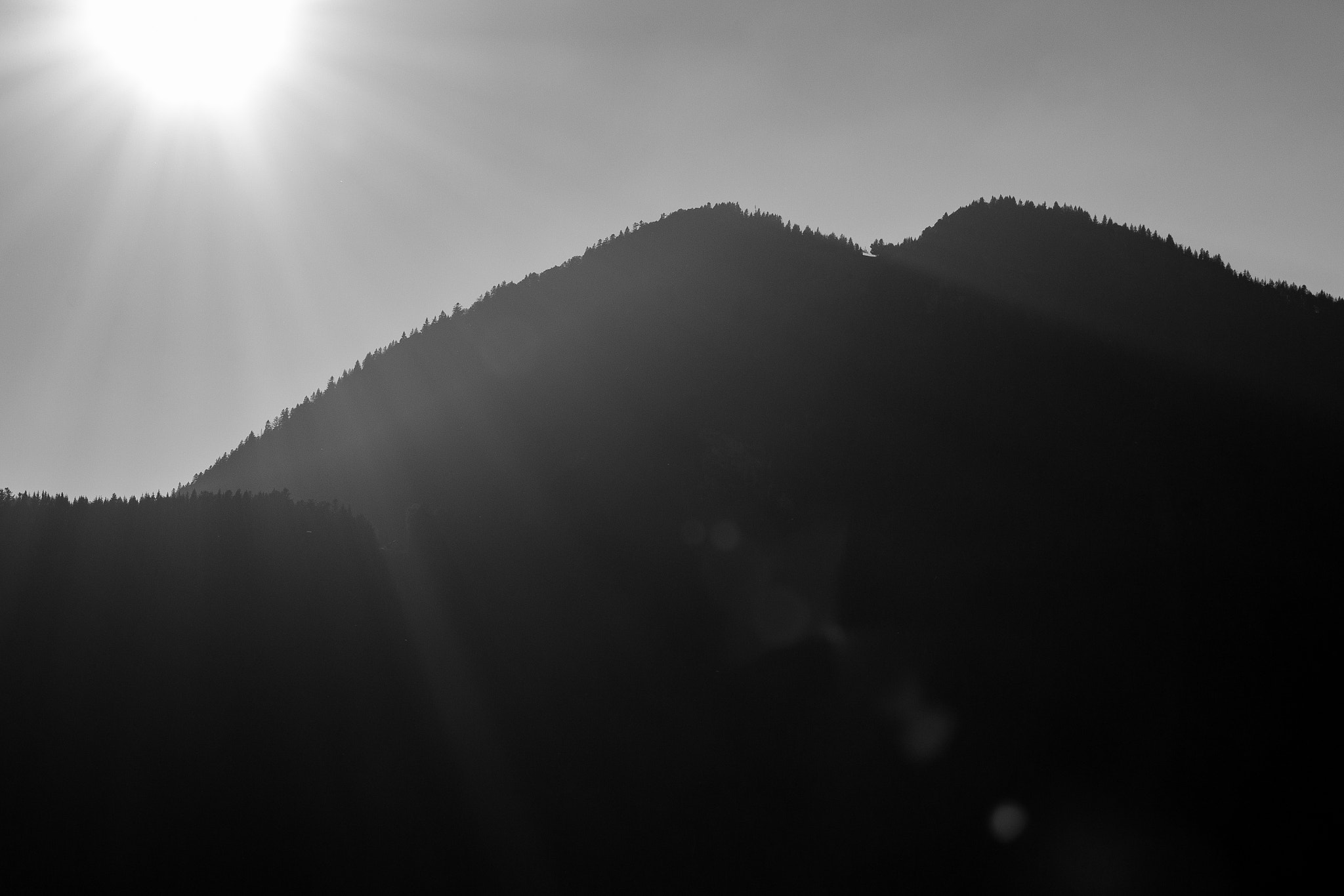 Tamron SP 35mm F1.8 Di VC USD sample photo. Lensflare in bw photography