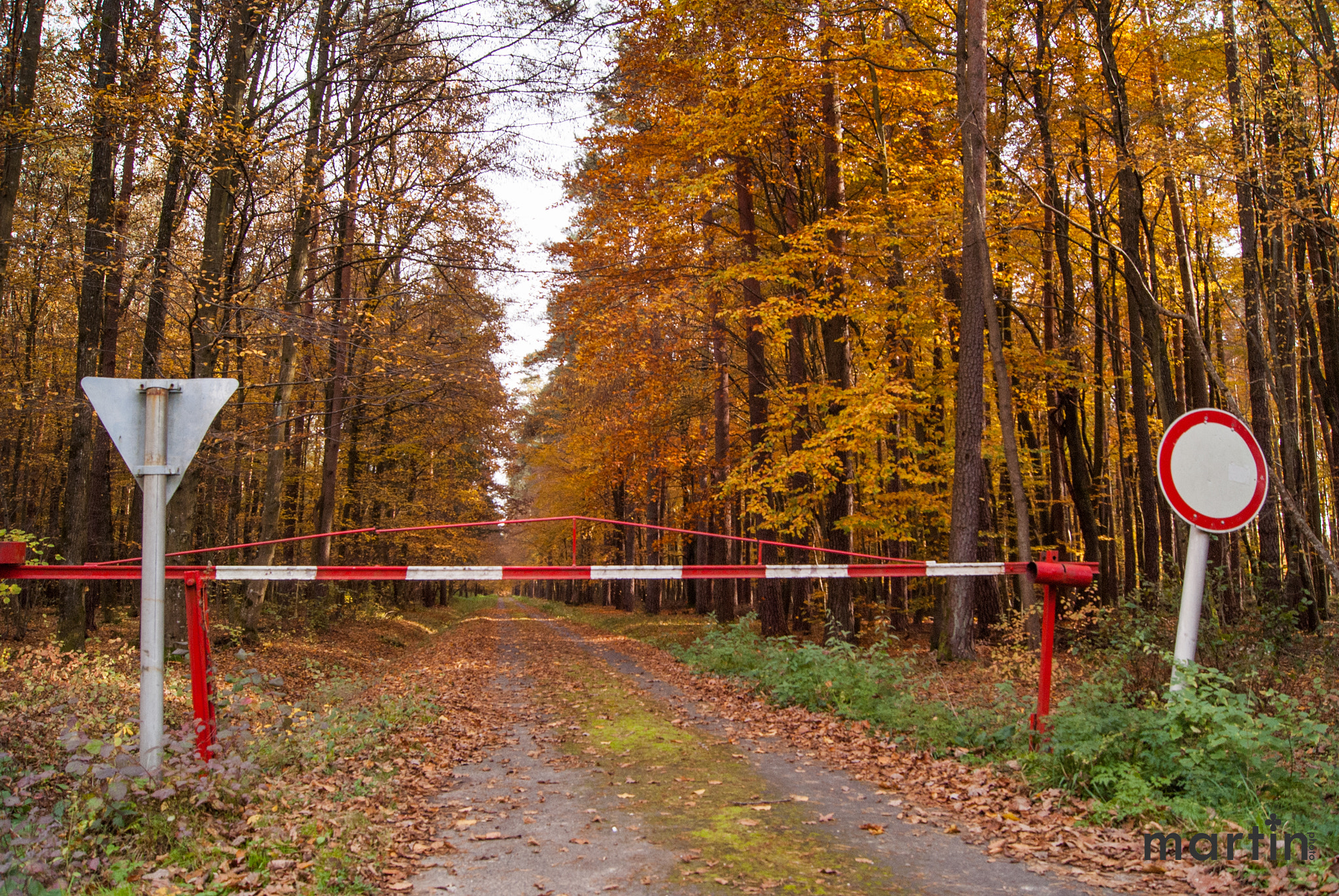 Sony Alpha DSLR-A200 + Sony DT 18-55mm F3.5-5.6 SAM sample photo. Autumn photography