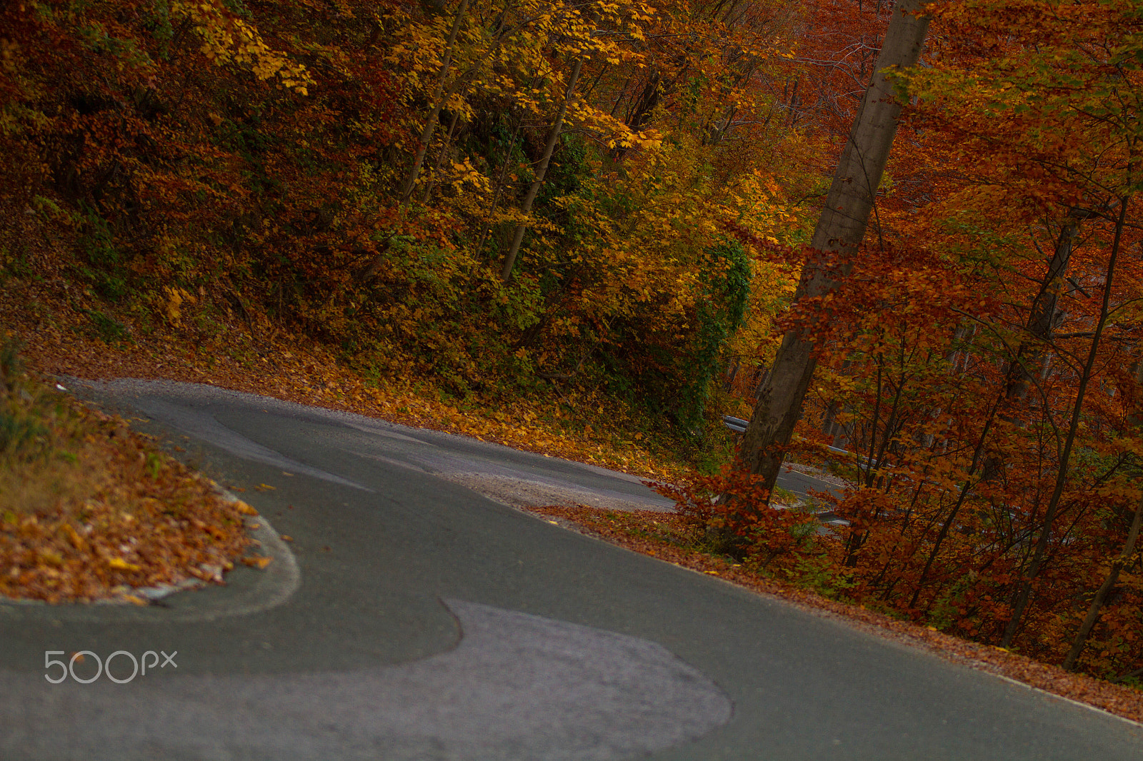 Sigma 70-200mm F2.8 EX DG OS HSM sample photo. Autumn road photography