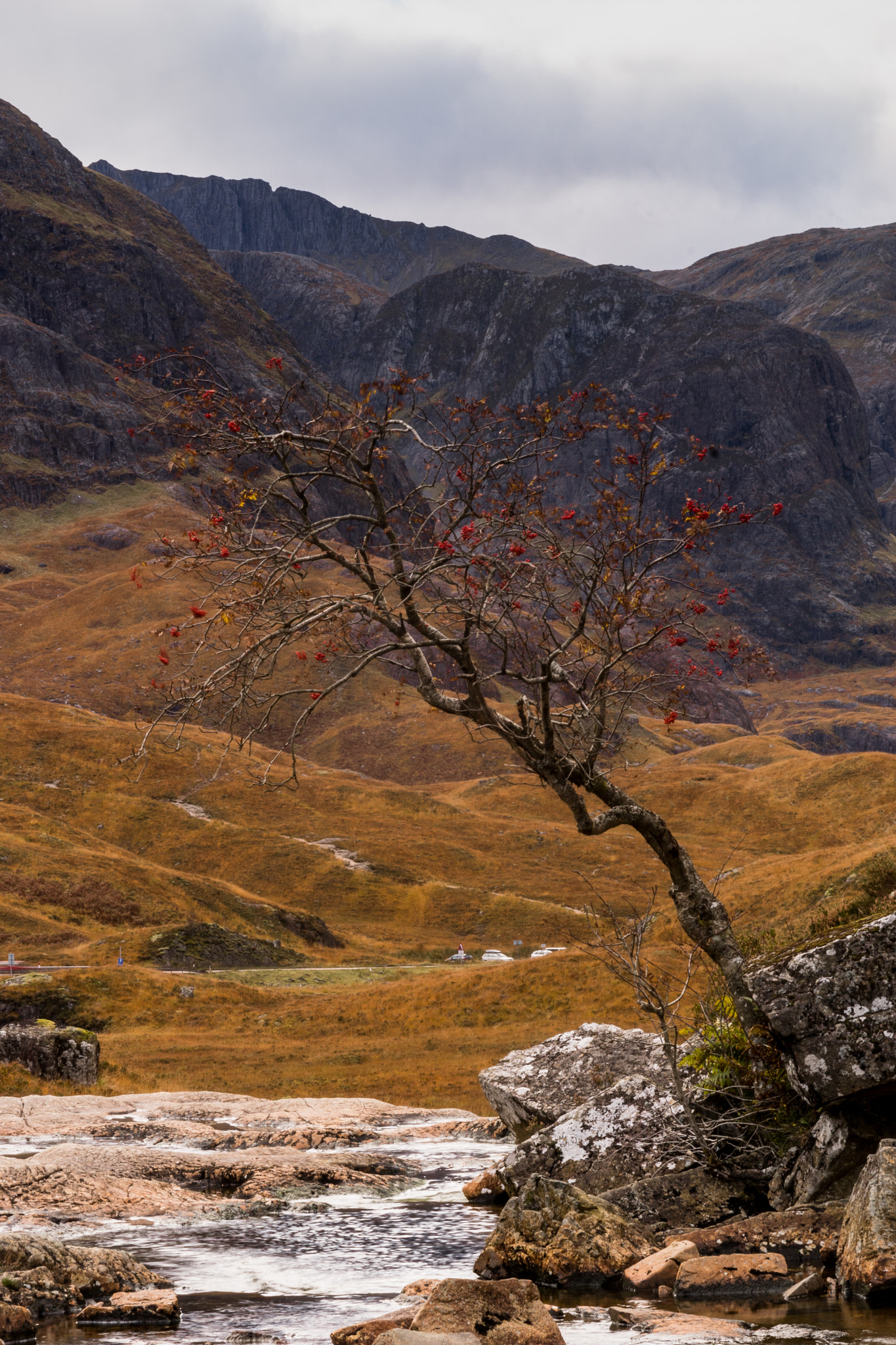 Sony ILCA-77M2 + Sigma 17-70mm F2.8-4.5 (D) sample photo. The river garry photography