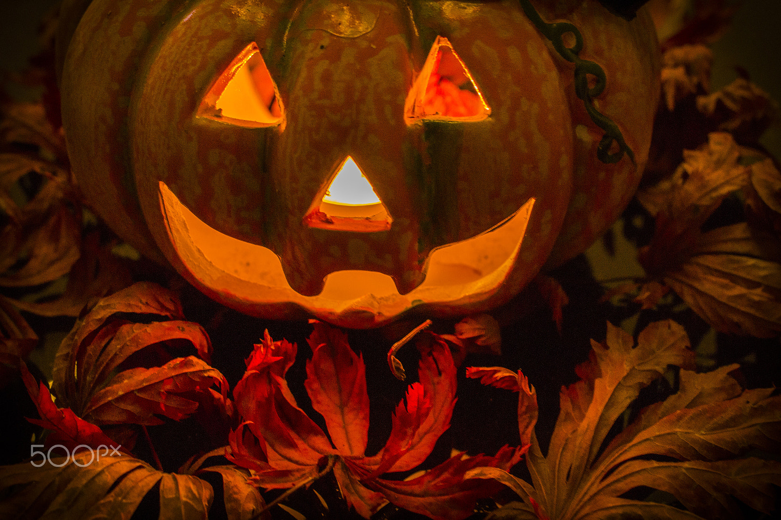 Tamron SP 35mm F1.8 Di VC USD sample photo. Happy halloween photography