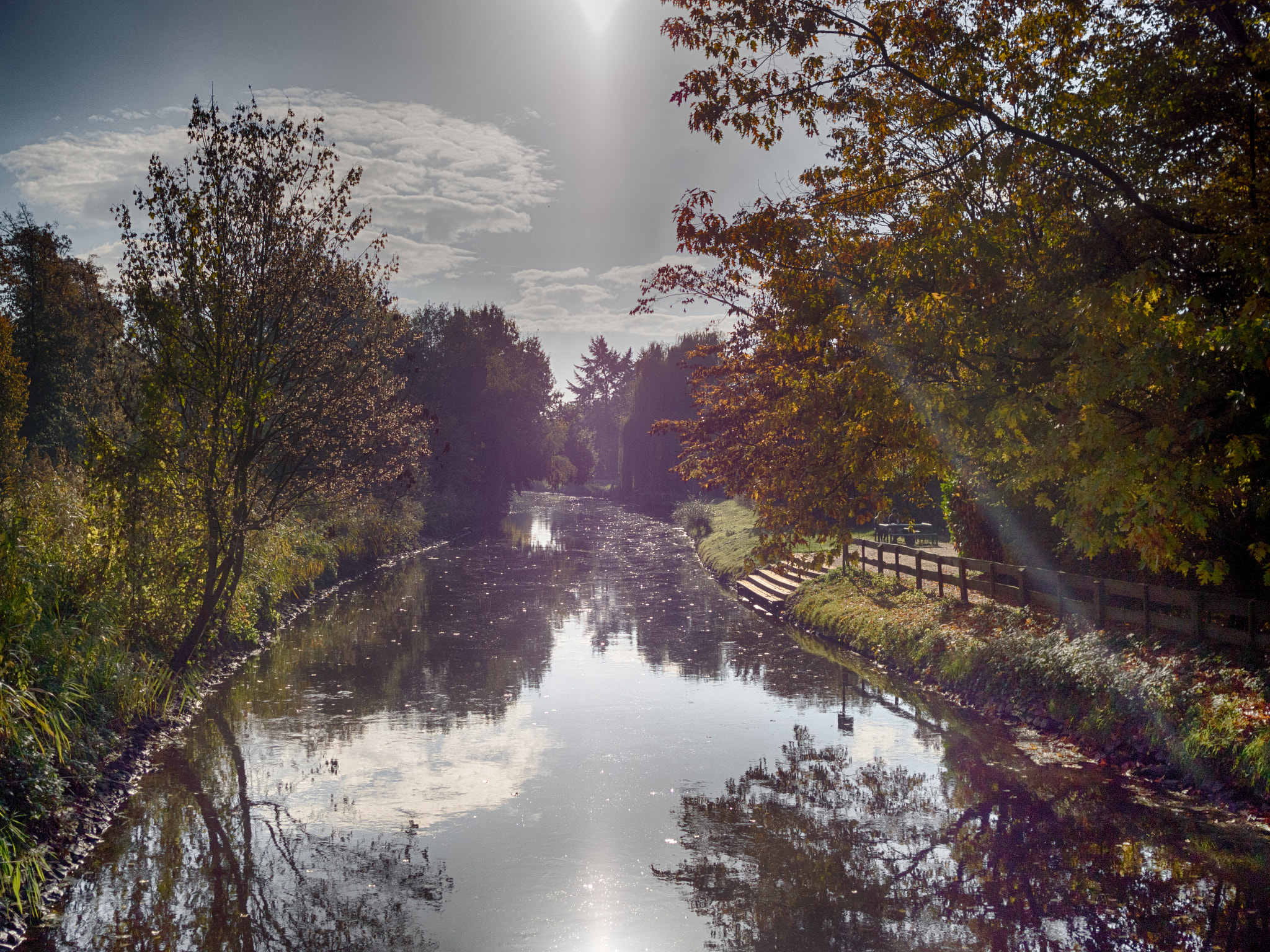 Olympus PEN-F + Sigma 19mm F2.8 EX DN sample photo. Die niers... photography