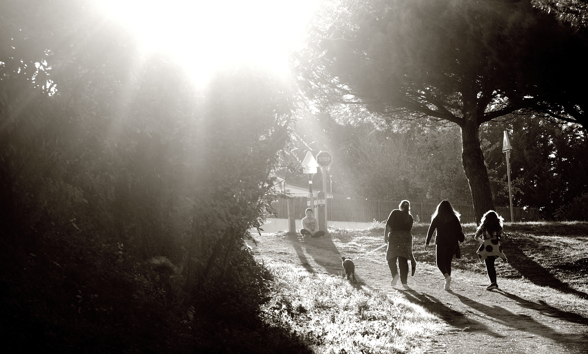 Canon 1-65535mm sample photo. Promenade automnale photography