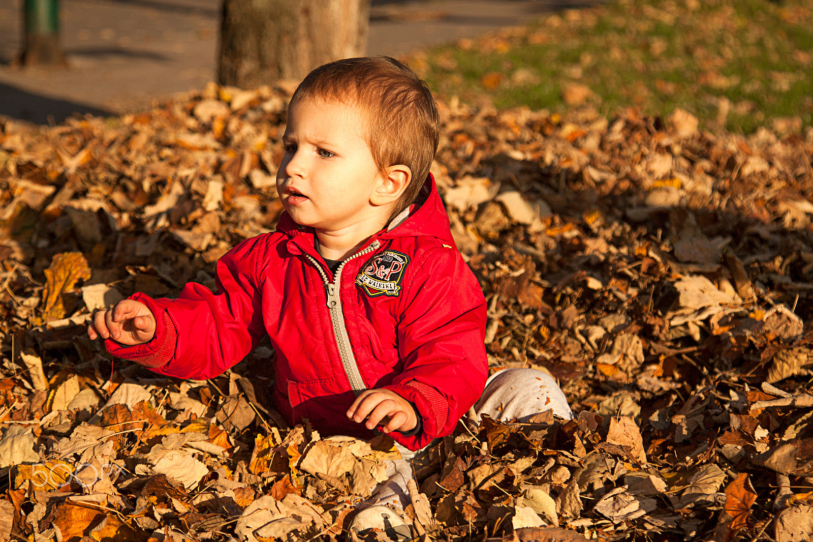 Canon EOS 500D (EOS Rebel T1i / EOS Kiss X3) sample photo. Kid enjoying the autumn photography