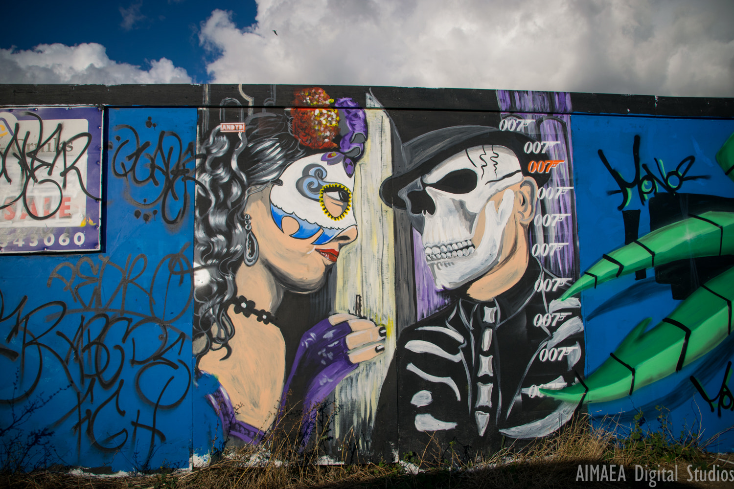 Sigma 28-300mm F3.5-6.3 DG Macro sample photo. Grafitti southend photography