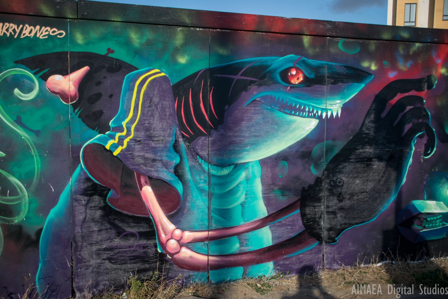 Sigma 28-300mm F3.5-6.3 DG Macro sample photo. Grafitti southend photography