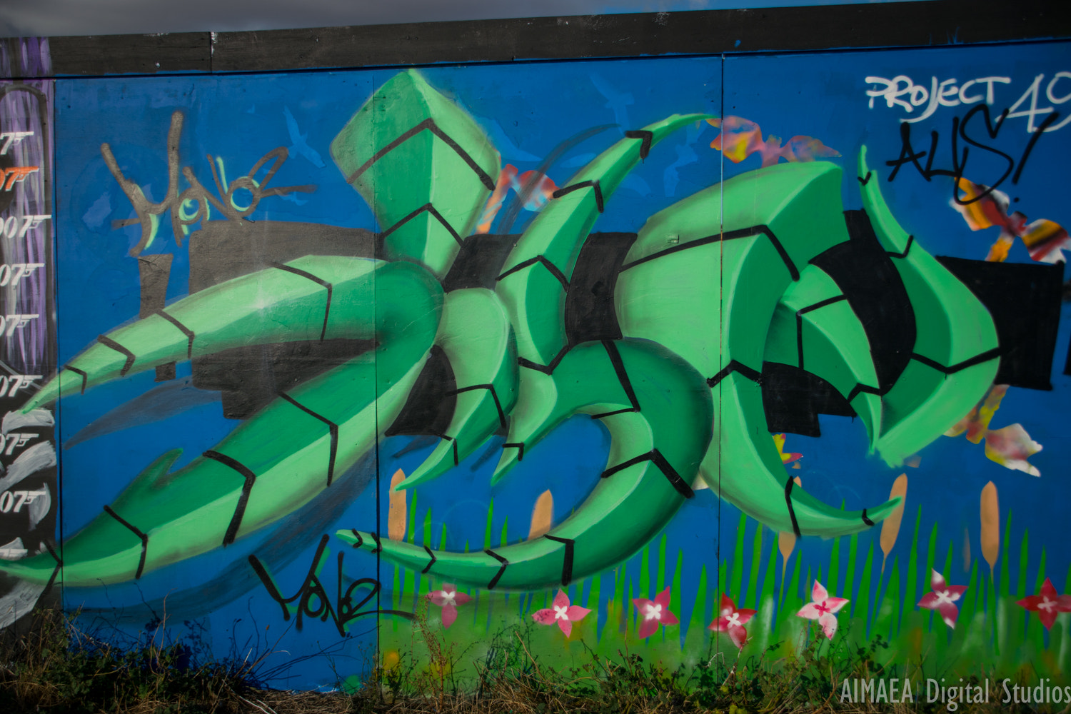 Sigma 28-300mm F3.5-6.3 DG Macro sample photo. Grafitti southend photography