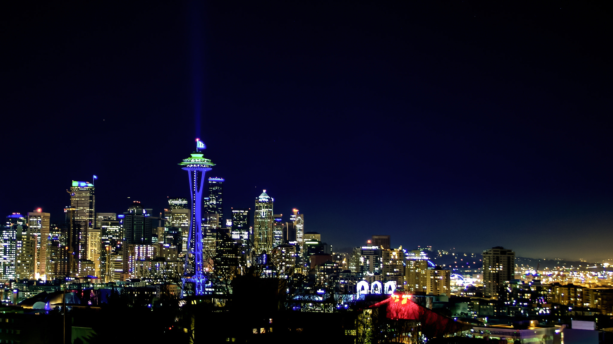 Tamron AF 18-200mm F3.5-6.3 XR Di II LD Aspherical (IF) Macro sample photo. Spaceneedle photography