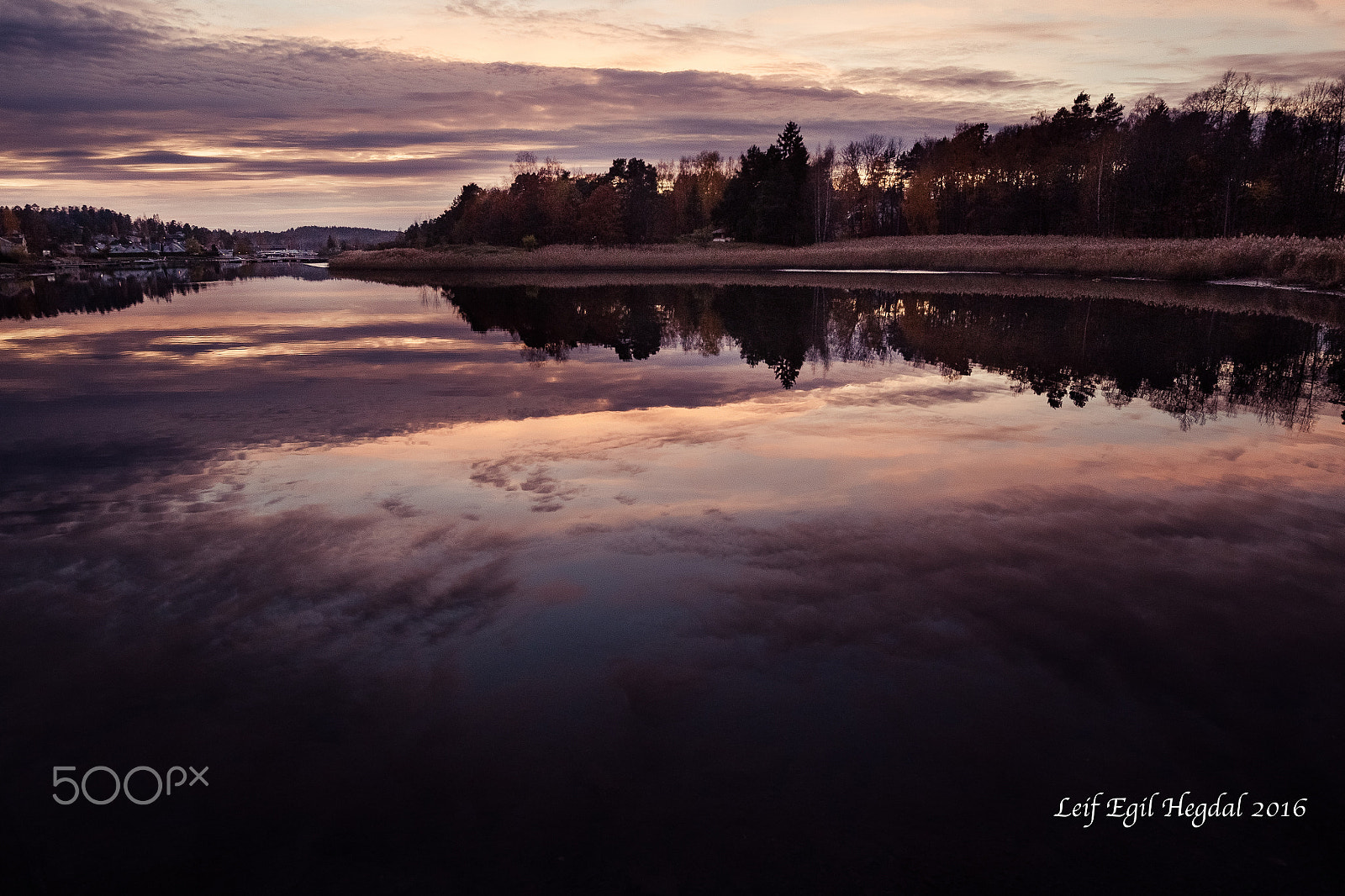 Canon EOS-1D Mark IV sample photo. Reflections iv photography